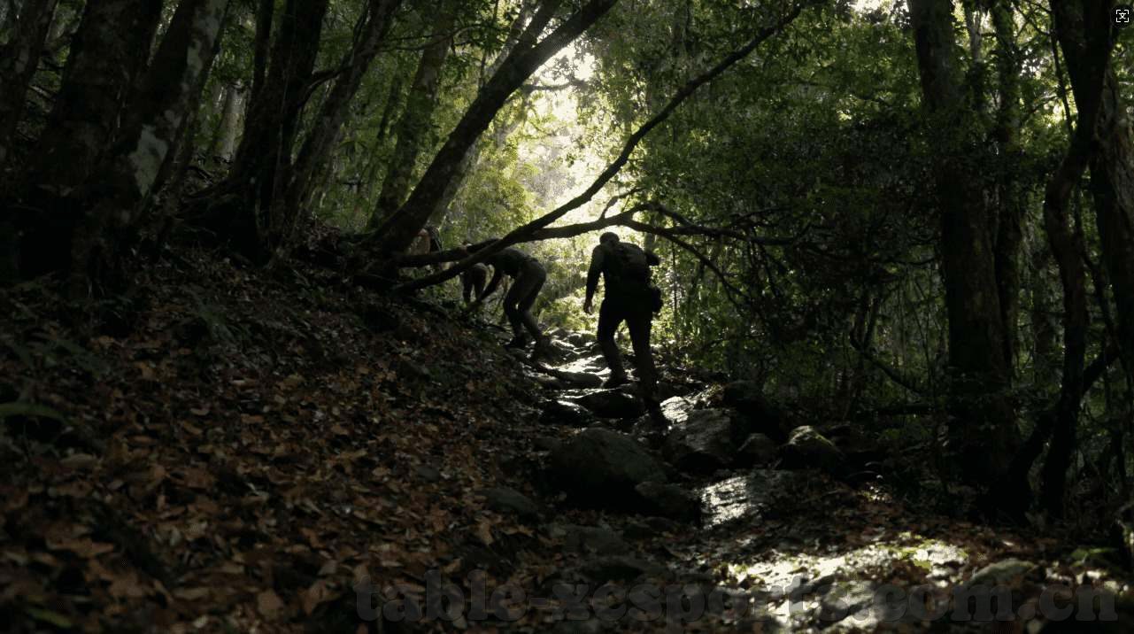 澳门永利集团5454-澳门永利集团5454，融汇文化，共筑多元社会